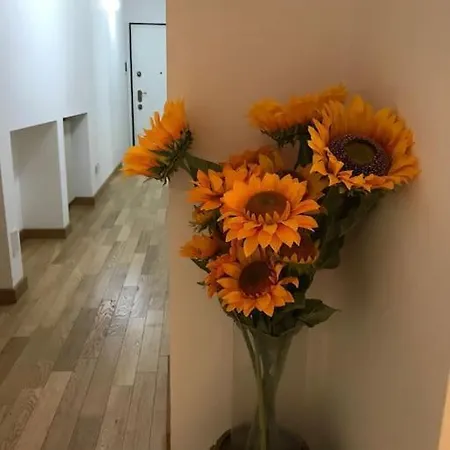 A&m Sarpi Milánó